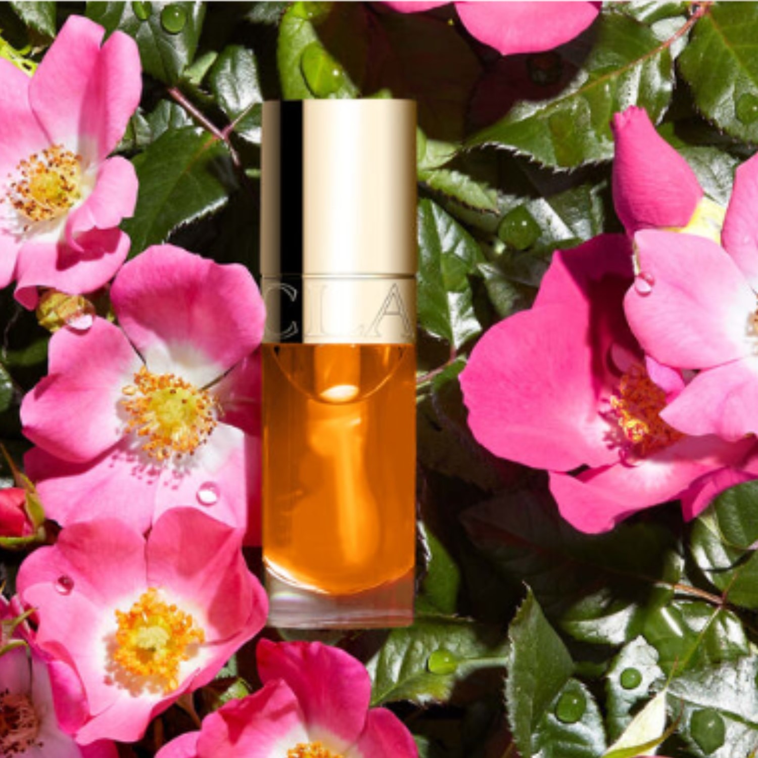 LIP COMFORT OIL (ACEITE HIDRATANTE PARA LABIOS CON UN TOQUE DE COLOR)